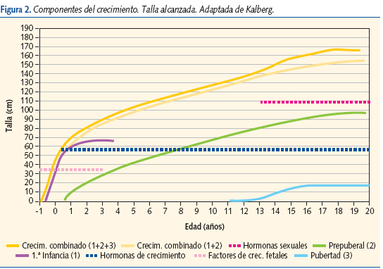 Figura 2. Componentes del crecimiento. Talla alcanzada. Adaptada de Kalberg.